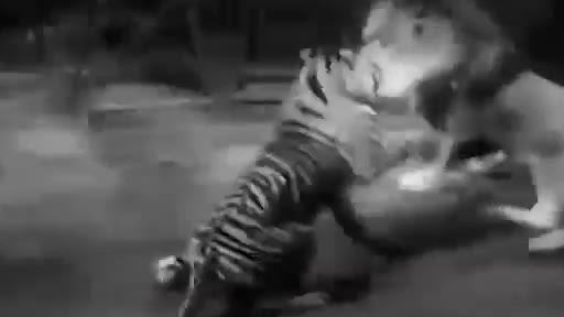 黑白电影:虎狮相斗